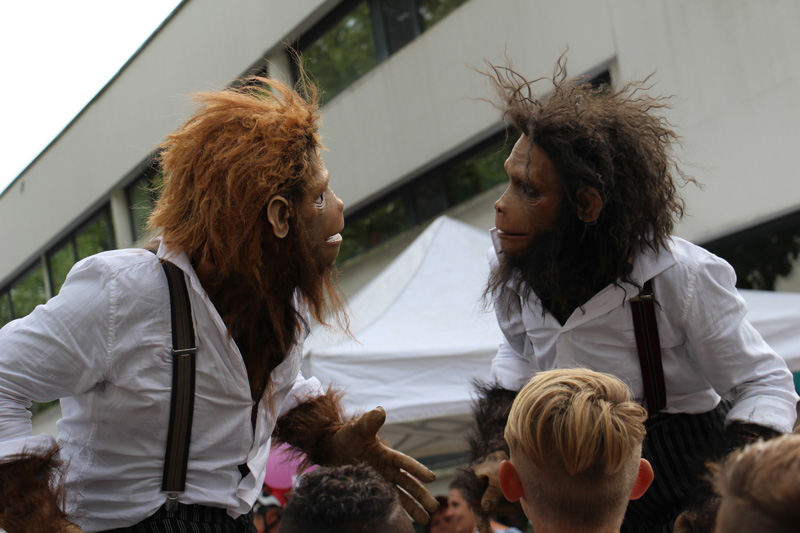 Le Chainon Manquant Entre Le Singe Et L Homme les-singes